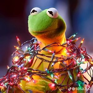 Meet your Posher, Cole